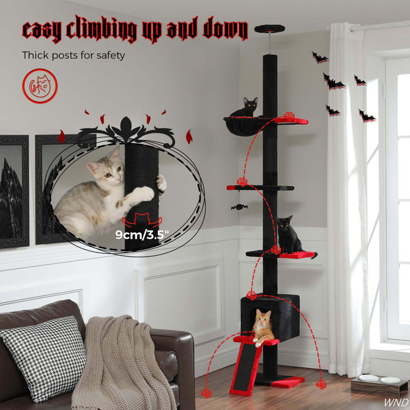 Indoor cat ladder hotsell